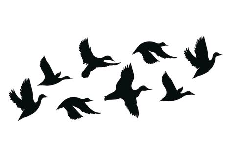 Bandada de patos una bandada de pájaros de dibujos animados ilustración de pájaros volando