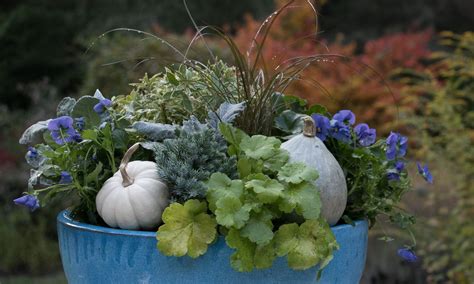 How To Plant Welcoming Fall And Winter Container Gardens Packed With