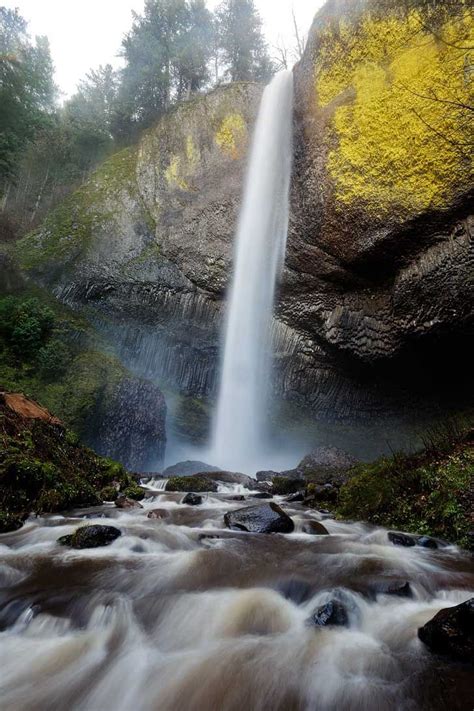 Latourell Falls Hike Easy Waterfall Hikes Near Portland Hikes Near