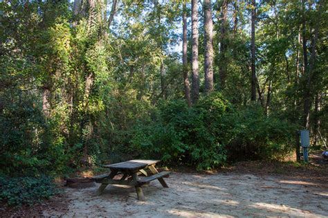 Myrtle Beach State Park Campground Outdoor Project