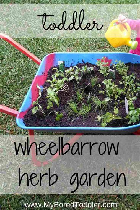 Gardening With Kids Wheelbarrow Herb Garden My Bored Toddler