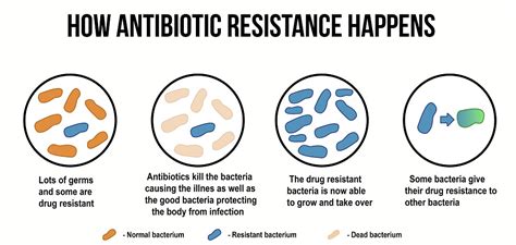 1how Antibiotic Resistance Happens Fissi