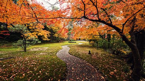 Japanese Autumn Wallpapers Wallpaper Cave