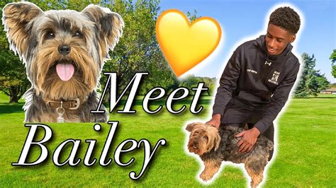 MEET BAILEY!!!! - YouTube