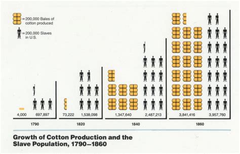 The Antebellum Plantation Economy