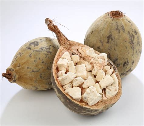 Previously classified within the family bombacaceae, they are now placed in the malvaceae. Baobab fruit, with seeds embedded in the white pulp ...