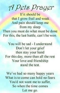 He was one of the smartest dogs i've ever owned and the only one of 8 dogs i've had that i could really trust off lead and able to be free to roam the yard around what is the rainbow bridge? 310 Rainbow bridge poem ideas | rainbow bridge, dog quotes ...