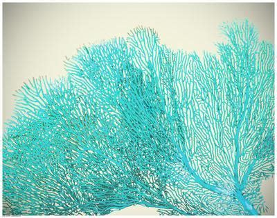 1500 x 930 jpeg 440 кб. 'Teal Coral' Prints | AllPosters.com