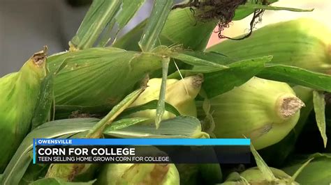 Owensville Teen Selling Homegrown Corn To Raise Money For College