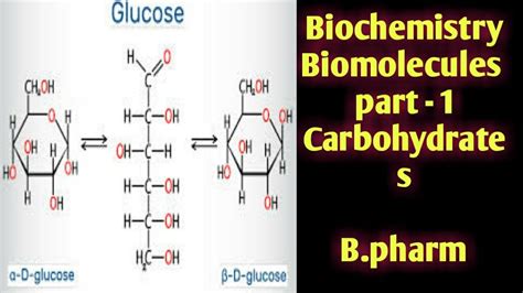 Bpharma Biochemistry Biomolecules Carbohydrates Part 1 Youtube