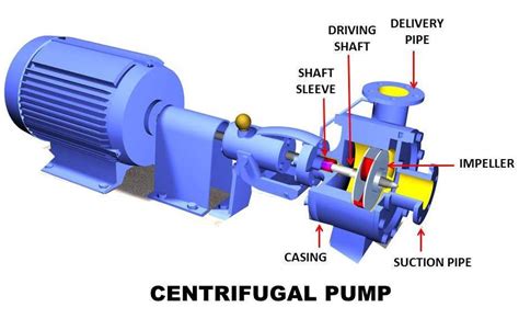 What Is Principle And Working Of Centrifugal Pump Zillions Buyer