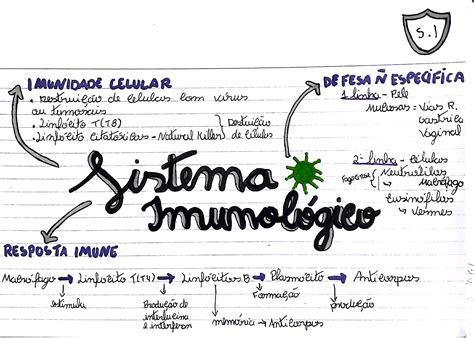 Questões Sobre Sistema Imunológico