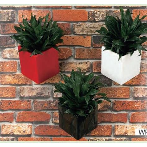 Get the best deals and coupons for arcadia garden products. Arcadia Garden Products Urban Gardening Square Wall ...
