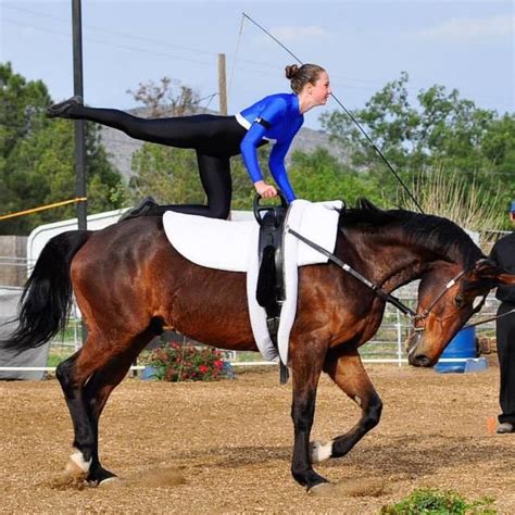 Pin By Tracy Putnam On Vaulting Horse Vaulting Vaulting Equestrian