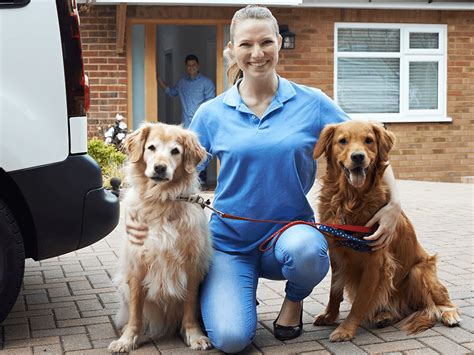 Pet Sitting Services Find Out How To Choose The Best Pet Sitter