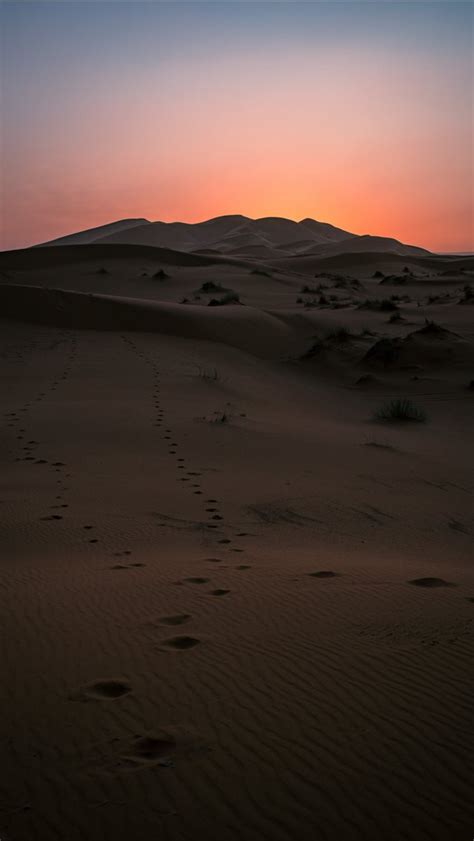 Desert Sunset Iphone Wallpapers Free Download