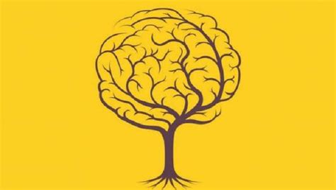 Tes Kepribadian Pohon Atau Otak Cari Tahu Kondisi Hati Kamu Apakah