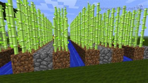 Are there signs on minecraft pocket edition? Minecraft How to Make a Simple Sugar Cane Farm | Simple ...