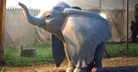 Ver estrenos, peliculas y series online completas. Ver HD Dumbo Película Completa Espanol y Latino | Ver ...