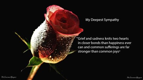 Condolence Sad Quotes Images And Wallpapers My Site
