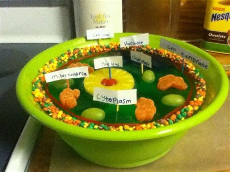 We did not find results for: Pin on Edible cell project