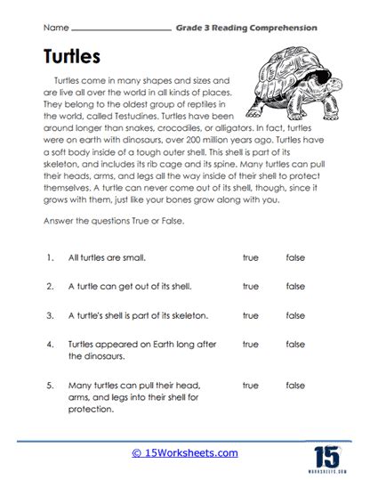 Grade 3 Reading Comprehension Worksheets