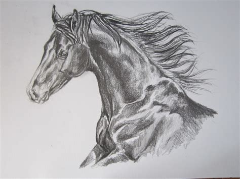 Check spelling or type a new query. horse drawings by WhySoWhite on DeviantArt