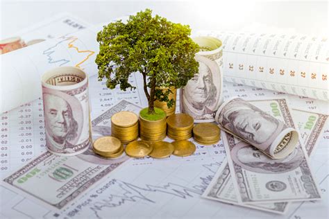 Pohon Ini Tumbuh Baik Pada Kemajuan Uang Dan Laporan Keuangan Bersama