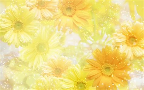 Yellow Flower Wallpapers Wallpaper Cave