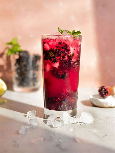 It goes down easy and tastes decent with pretty much anything—which can too often result in ordering another vodka tonic. An easy Blackberry Lemonade Mojito with vodka! This ...