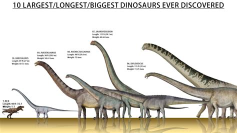 Top 10 Largest Dinosaurs Ever Found Till 2022 Youtube