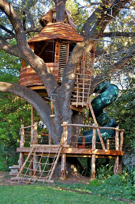 S A Treehouse Creator Shares His Work With The Master