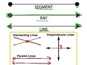 Types Of Lines Math Geometry Lines Showme