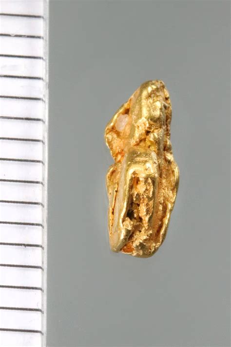 Elongated And Dimensional Gold Nugget From California 147 00