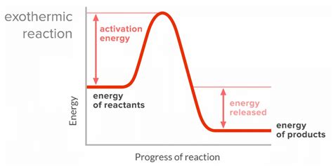 Exothermic Reaction Diagram