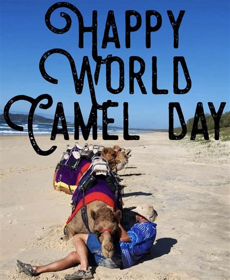 💙🐪 Happy World Camel Day 🐪💙 22nd Noosa Camel Rides