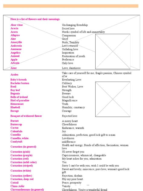 They are everywhere around us and we cannot ignore today we talk about one of the most popular cut flowers ever and their meaning, the rhododendron. Here is a List of Flowers and Their Meanings ...