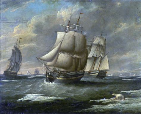 The Victorian Times Whaling Disaster Of 1871