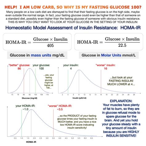 How does your blood glucose level drop, and how does it store glucose? Worried About Insulin Resistance? Measuring HOMA-IR can help.