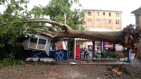 È successo nel pomeriggio di sabato 14 maggio. Maxi-temporale con grandine, alberi caduti e chiamate ai ...