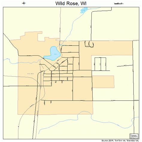 Wild Rose Wisconsin Street Map 5587075