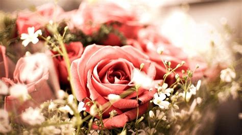 Floral metallic green church vintage wallpaper. Download Rose Vintage Wallpaper Gallery