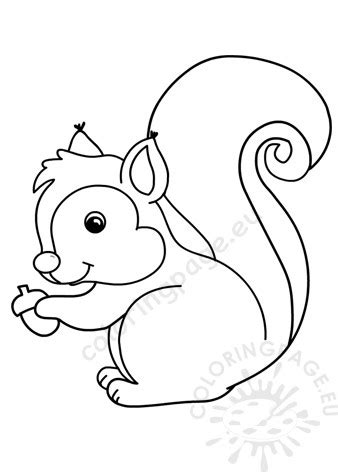 Coloring page outline of squirrel with nuts. Squirrel outline holding acorn - Coloring Page