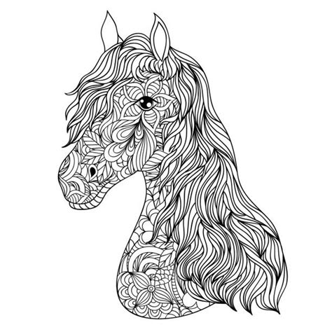Drawing Of The Horse Eye Illustrations Royalty Free Vector Graphics