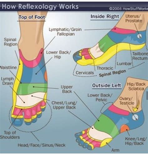 Pin By Photographic Dreams On Better Life In 2020 Reflexology Acupressure Reflexology Chart