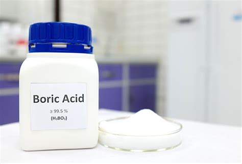 Boric Acid Powder Uses All You Need To Know