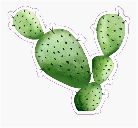 5 calories, nutrition grade (a), problematic ingredients, and more. Sharp Watercolor Cactus Sticker - Pintura De Nopales En ...
