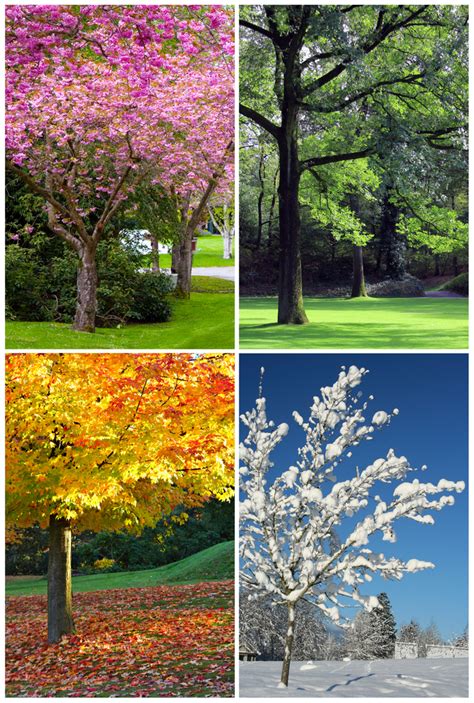 Rivers and lakes are frozen. Why We Call the Seasons Summer, Autumn, Winter, and Spring