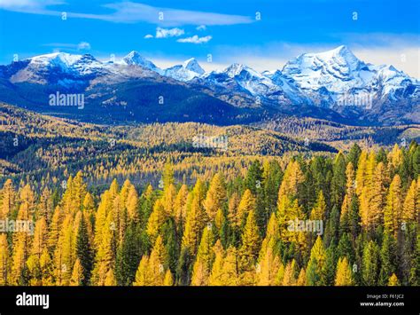 Fall Colors In Foothills Of The Seeley Swan Valley Below The Mission