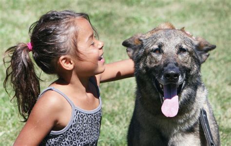 Duluth police show there's more behind the badge to kids - Duluth News